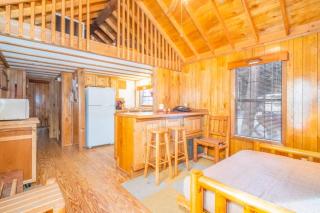 The Weminuche Cabin #80 at Blue Spruce RV Park & Cabins - Tuckerville - 7