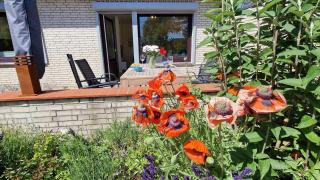 Haus-Kuhsteig-Whg-01-Nordleuchten - Sankt Peter-Ording - 6