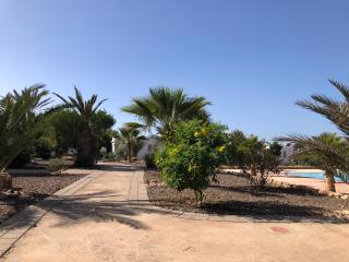 Camping la palmeraie Tifnit - Tifnit - 9