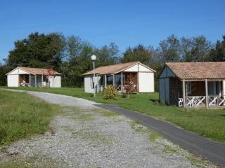 La lamproie - Orist - 1