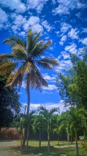 Hotel Campestre Campos Verdes - Roldanillo - 4