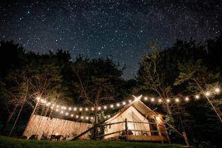 The Original Campsite on 53 acres, Branson, MO - Branson - 7