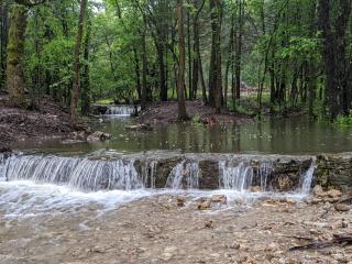 The Original Campsite on 53 acres, Branson, MO - Branson - 3
