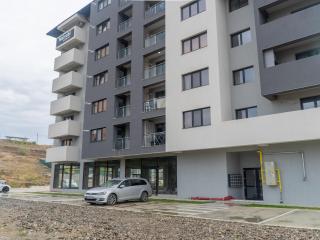 Casa Boes 41 - Vişan - 9