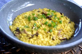 Pousada Encanto da Bocaina - Serra da Bocaina - 5