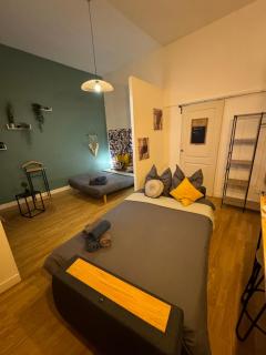Charmant appartement climatisé aux pieds de la cité - Carcassonne - 6
