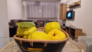 Apartman Dunja - Ruma - 5