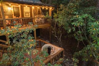 Log Cabin with Mountain View and Privacy - Blue Ridge - 9