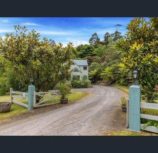 Plum Tree Cottage - Apollo Bay - 2