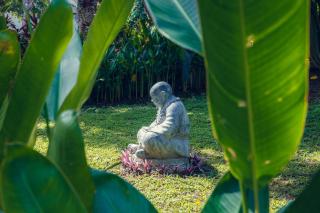 Anima Retreat Bali - Krambitan - 5