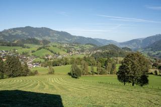Knollgut Ferienwohnung Buchberg - Goldegg - 0