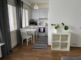 Tilava yksiö Niinivaaralla - Joensuu - 9