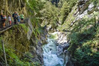 Topp Rossmoos - Alpbach - 2