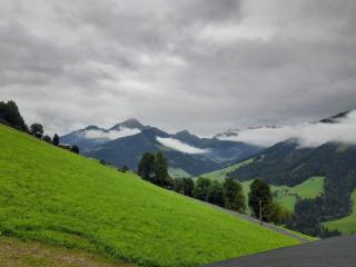 Topp Rossmoos - Alpbach - 1