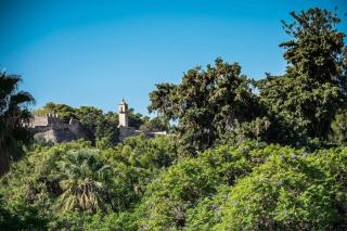 Theasis Luxury Apartment - 8