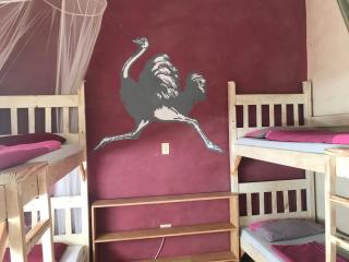 ParadiseGarden Backpackers - Windhoek - 8