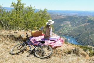 PH in Alto Douro Vinhateiro - - 4