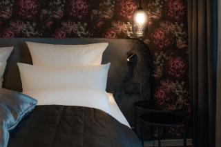 Parkhotel - Bad Waldsee - 9