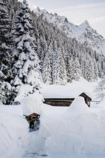 Heimspitze - Alpenhotel & Wirtshaus - Gargellen - 8