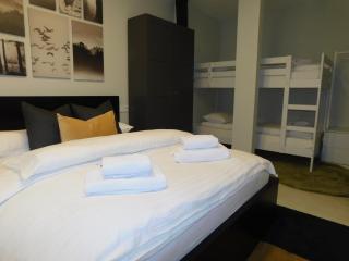 Cankar's cute apartment - Lubiana - 4