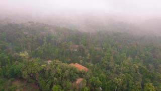 KINGMAKER'S Plantation with River Stream - Madikeri - 5