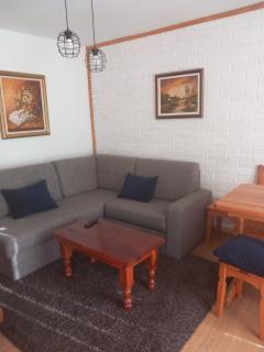 APARTMAN ZELENA DOLINA - Čajetina - 5