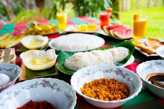 Wild Hut Habarana - 2