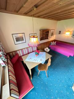 Appartementhaus Zillertal Arena - Zell am Ziller - 8
