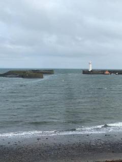 5 Shore Street - Donaghadee - 3