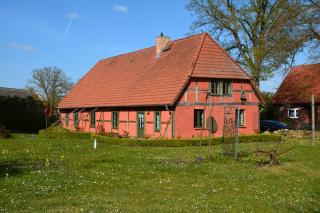 Alte Ausspanne FEWO - Walkendorf - 9