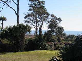 Beachfront Condo with Ocean View - Hilton Head Island - 7