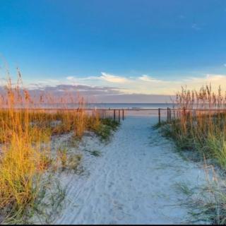 Beachfront Condo with Ocean View - Hilton Head Island - 9