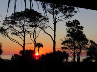 Beachfront Condo with Ocean View - Hilton Head Island - 8