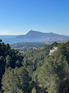 Altea Dreamview - 0