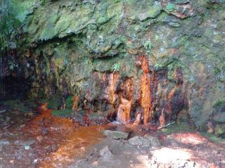 Les Ecureuils - Revin - 5