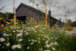 The Deerstone Luxury Eco Hideaway - Laragh - 5