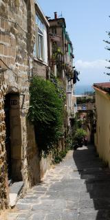 Oasi del Petraio - Naples - 9