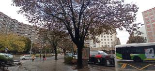 Piso Eugenio Fadrique Vigo - Vigo - 5