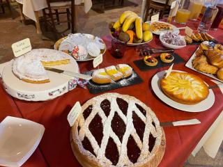 Agriturismo Fiore di Campo - 9