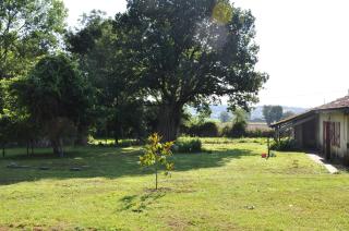 L'Eveil des Sens - Auriébat - 7