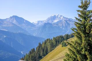 Chalet Collini - Riederalp - 4