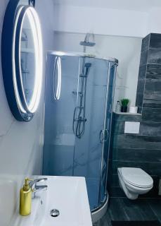 Q Elite Apartment - Palas Center - 2