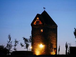 Moulin de Salles - Mas-dʼAuvignon - 5