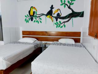 Amazon House Hostel - Iquitos - 4