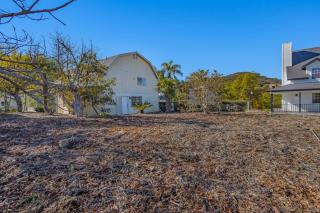 Avocado Bliss Retreat - 3