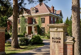 Blind Tiger Burlington - Burlington - 9