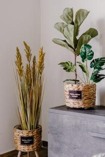 LA88 Bayview Apartment II - Sliema - 4
