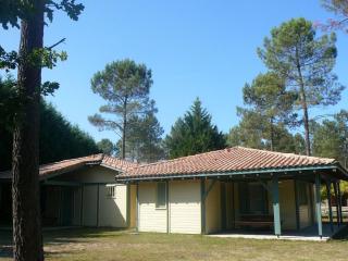 Les helianthemes - Brocas - 0