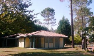 La molinie - Brocas - 0