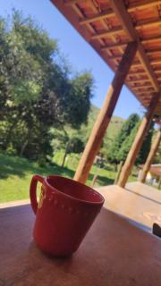 Conforto dos Pandas - 0